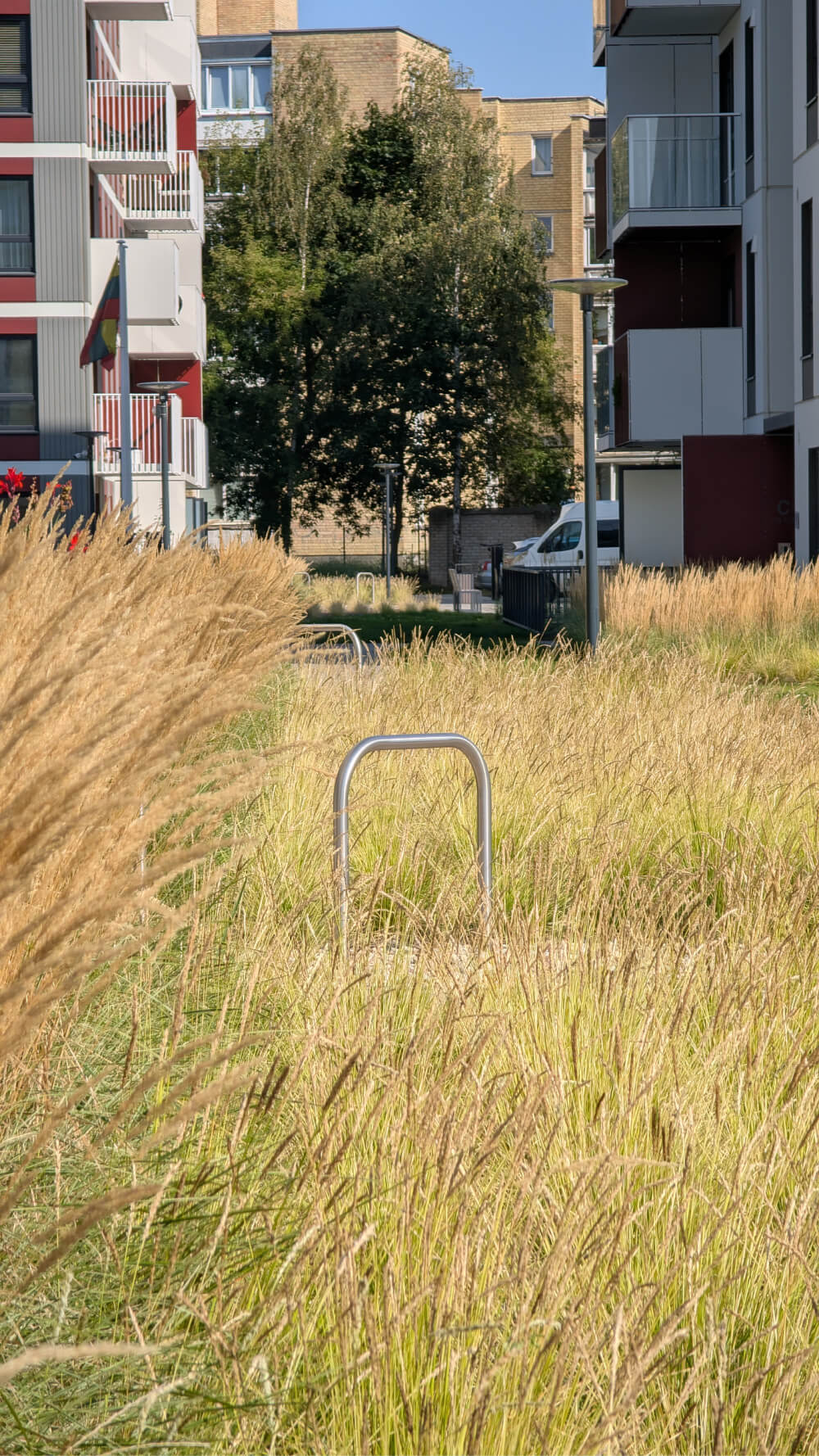 Dviračių stovėjimo vieta, integruota tarp dekoratyvinių žolynų, daugiabučių kvartalas